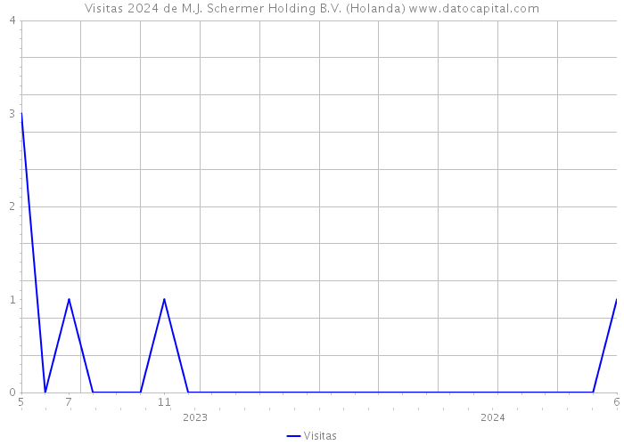 Visitas 2024 de M.J. Schermer Holding B.V. (Holanda) 