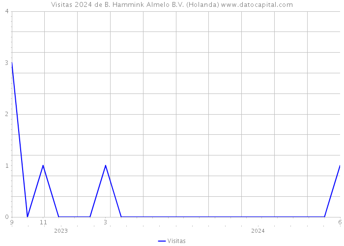 Visitas 2024 de B. Hammink Almelo B.V. (Holanda) 