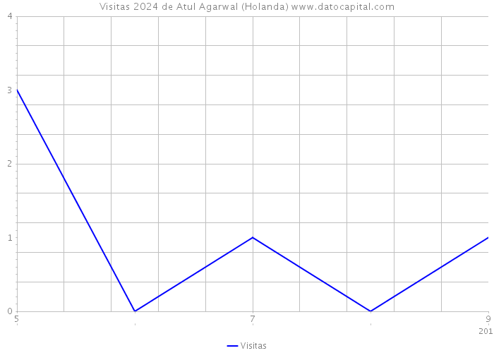 Visitas 2024 de Atul Agarwal (Holanda) 