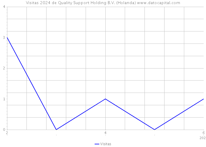 Visitas 2024 de Quality Support Holding B.V. (Holanda) 