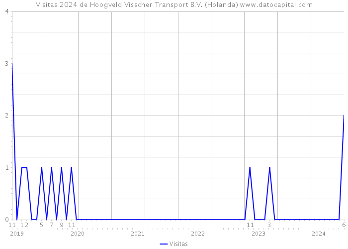 Visitas 2024 de Hoogveld Visscher Transport B.V. (Holanda) 