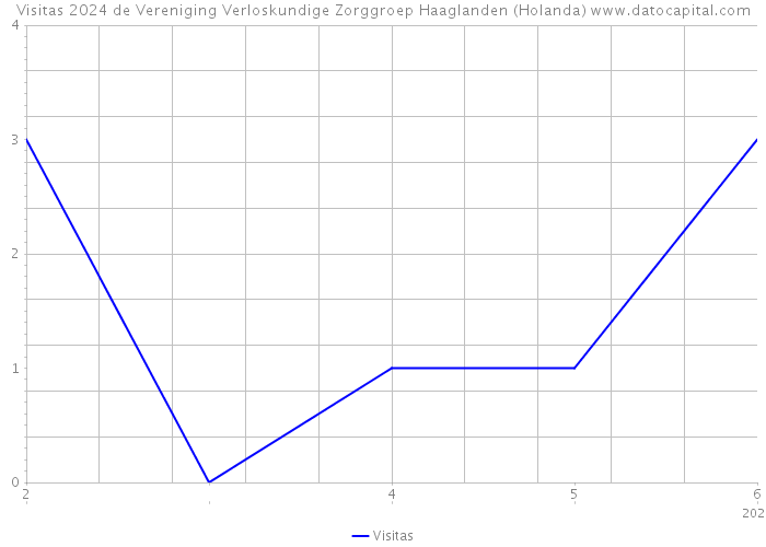 Visitas 2024 de Vereniging Verloskundige Zorggroep Haaglanden (Holanda) 