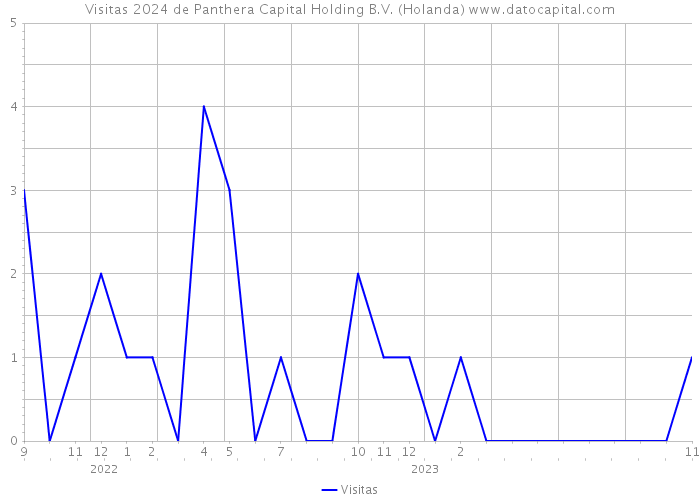 Visitas 2024 de Panthera Capital Holding B.V. (Holanda) 