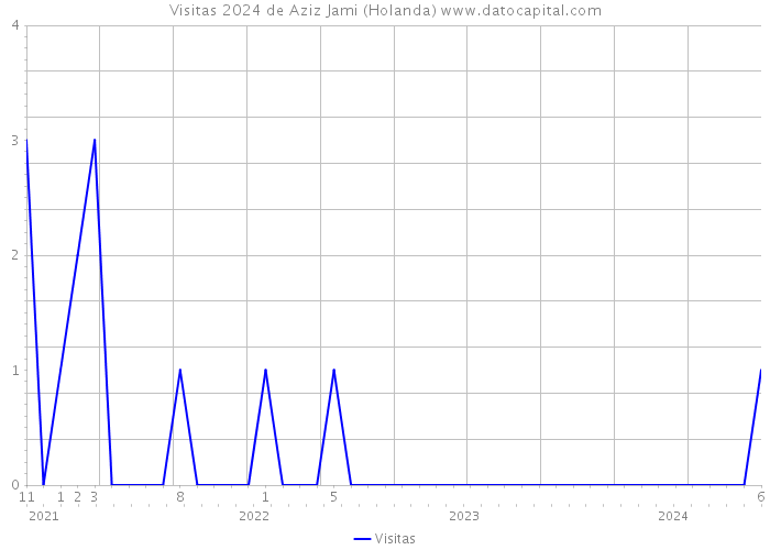 Visitas 2024 de Aziz Jami (Holanda) 