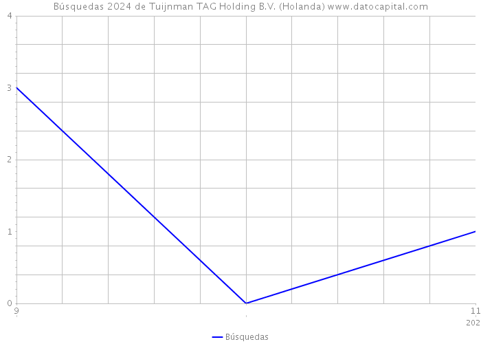 Búsquedas 2024 de Tuijnman TAG Holding B.V. (Holanda) 