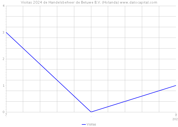 Visitas 2024 de Handelsbeheer de Betuwe B.V. (Holanda) 