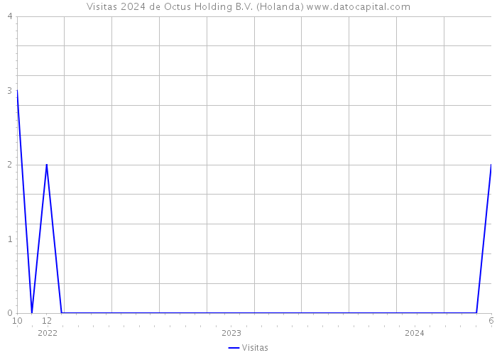 Visitas 2024 de Octus Holding B.V. (Holanda) 