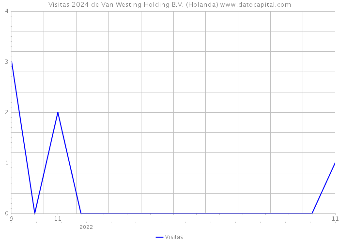 Visitas 2024 de Van Westing Holding B.V. (Holanda) 