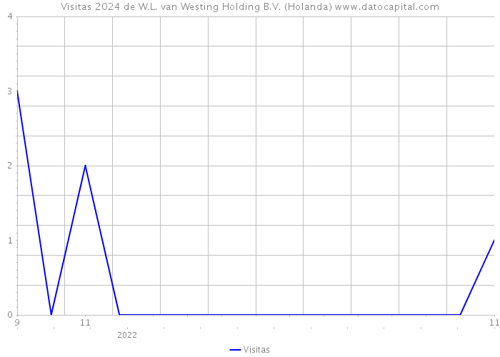 Visitas 2024 de W.L. van Westing Holding B.V. (Holanda) 