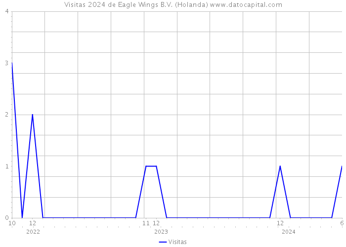 Visitas 2024 de Eagle Wings B.V. (Holanda) 