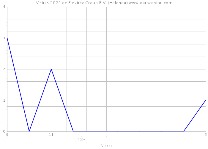 Visitas 2024 de Flexitec Group B.V. (Holanda) 