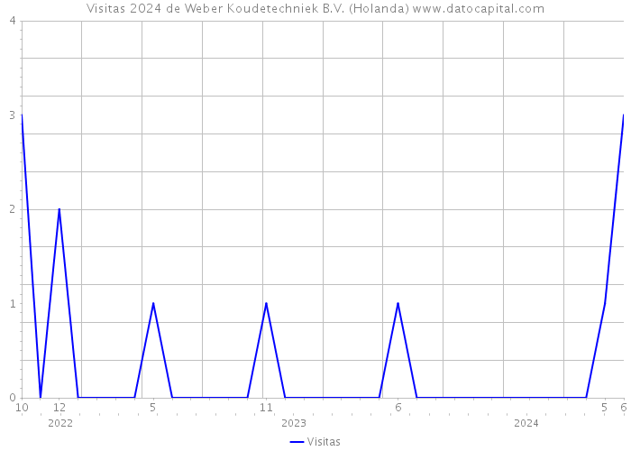 Visitas 2024 de Weber Koudetechniek B.V. (Holanda) 