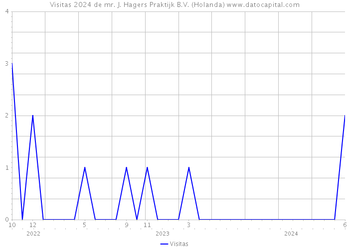 Visitas 2024 de mr. J. Hagers Praktijk B.V. (Holanda) 