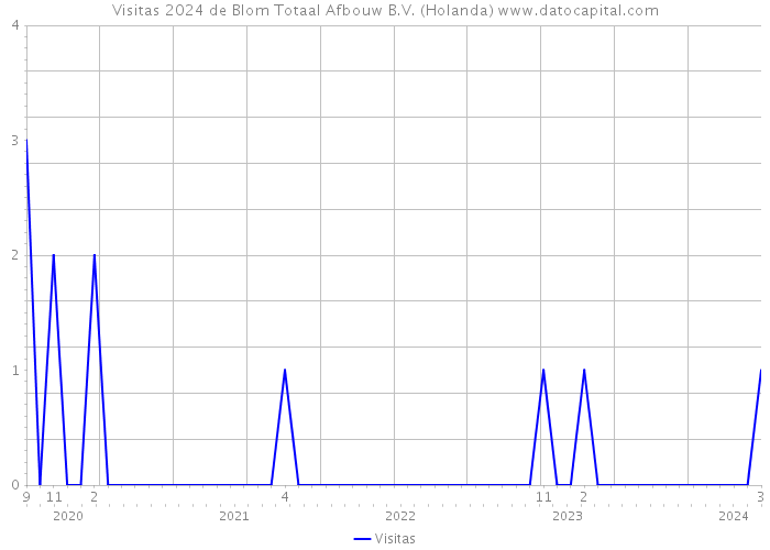 Visitas 2024 de Blom Totaal Afbouw B.V. (Holanda) 