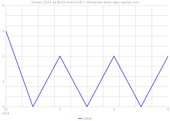 Visitas 2024 de Bolle Interim B.V. (Holanda) 