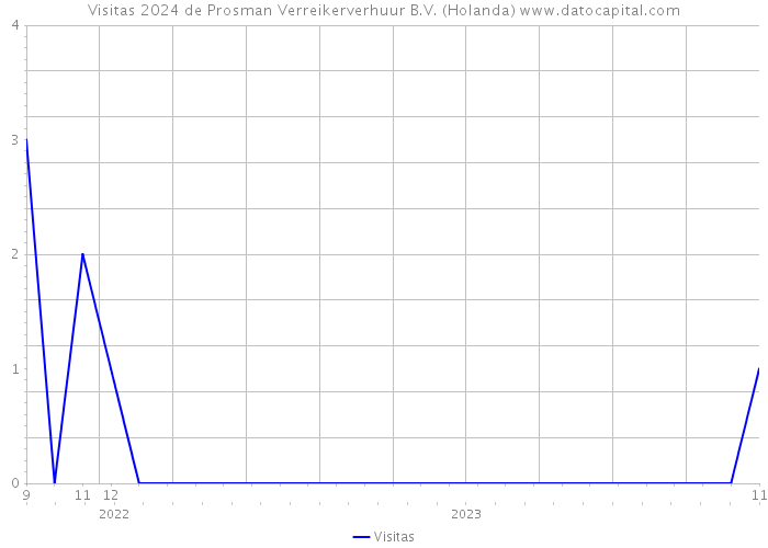 Visitas 2024 de Prosman Verreikerverhuur B.V. (Holanda) 