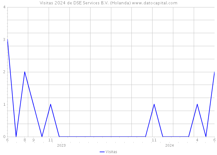 Visitas 2024 de DSE Services B.V. (Holanda) 