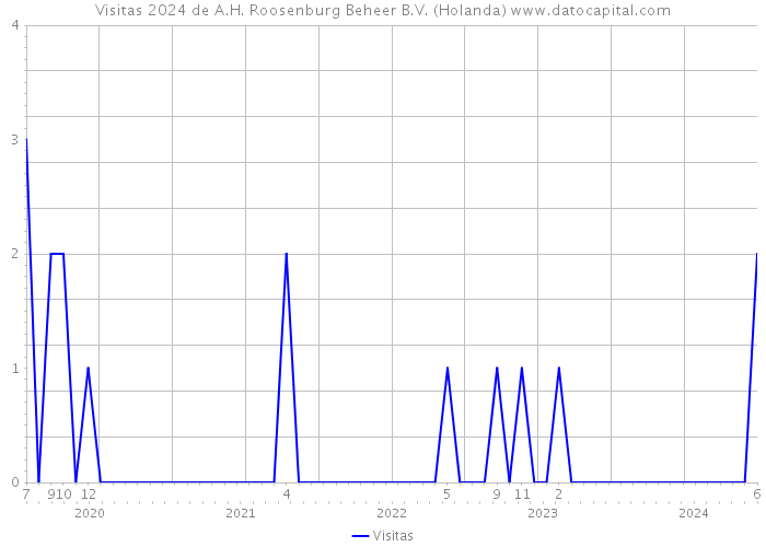 Visitas 2024 de A.H. Roosenburg Beheer B.V. (Holanda) 