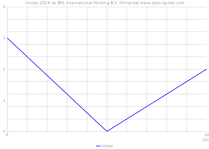 Visitas 2024 de BRL International Holding B.V. (Holanda) 