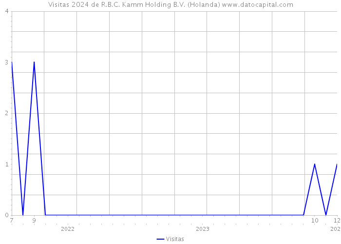 Visitas 2024 de R.B.C. Kamm Holding B.V. (Holanda) 
