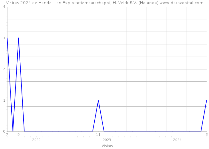 Visitas 2024 de Handel- en Exploitatiemaatschappij H. Veldt B.V. (Holanda) 
