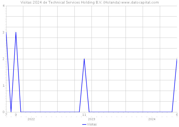 Visitas 2024 de Technical Services Holding B.V. (Holanda) 