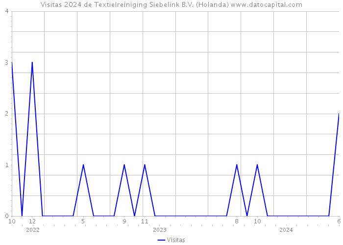 Visitas 2024 de Textielreiniging Siebelink B.V. (Holanda) 