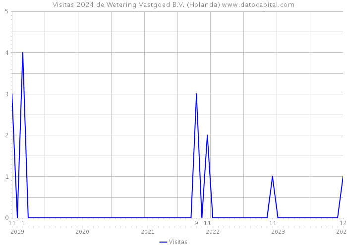 Visitas 2024 de Wetering Vastgoed B.V. (Holanda) 