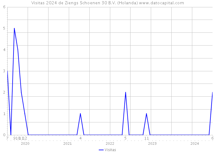 Visitas 2024 de Ziengs Schoenen 30 B.V. (Holanda) 