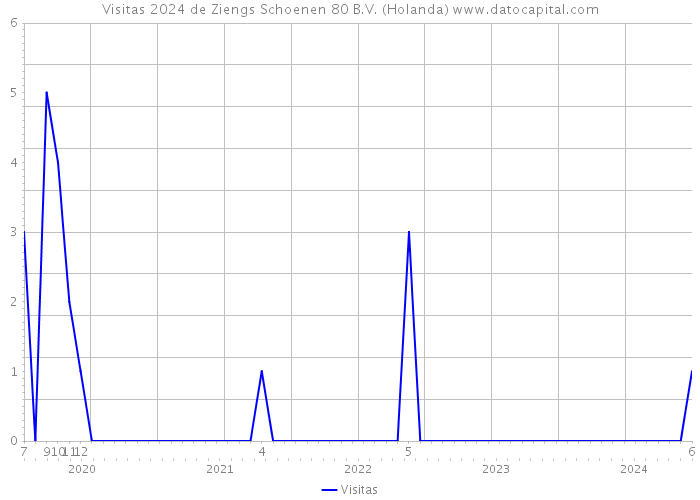 Visitas 2024 de Ziengs Schoenen 80 B.V. (Holanda) 