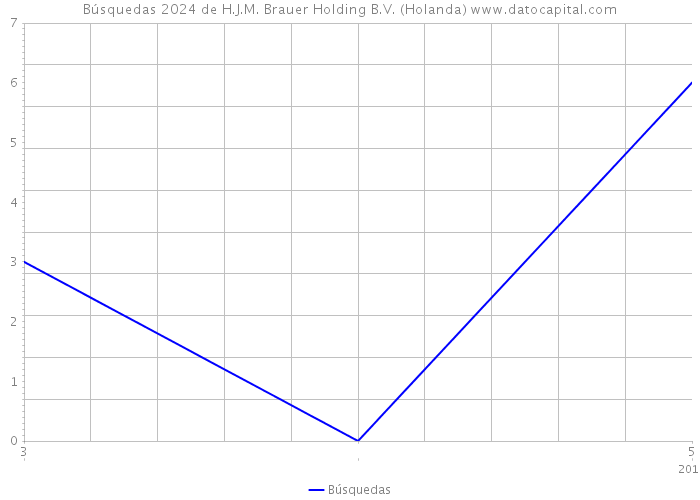 Búsquedas 2024 de H.J.M. Brauer Holding B.V. (Holanda) 