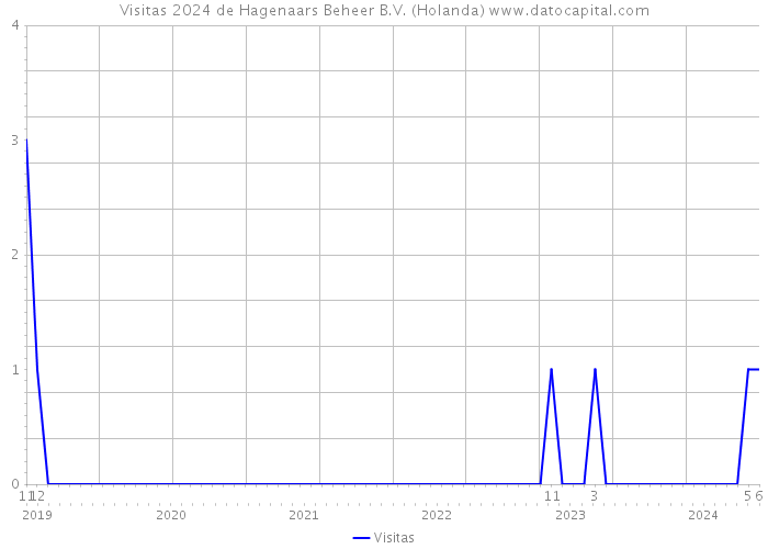 Visitas 2024 de Hagenaars Beheer B.V. (Holanda) 