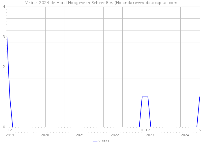 Visitas 2024 de Hotel Hoogeveen Beheer B.V. (Holanda) 