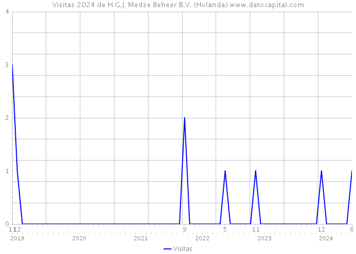 Visitas 2024 de H.G.J. Medze Beheer B.V. (Holanda) 