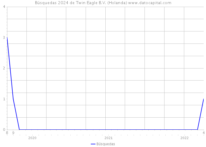 Búsquedas 2024 de Twin Eagle B.V. (Holanda) 