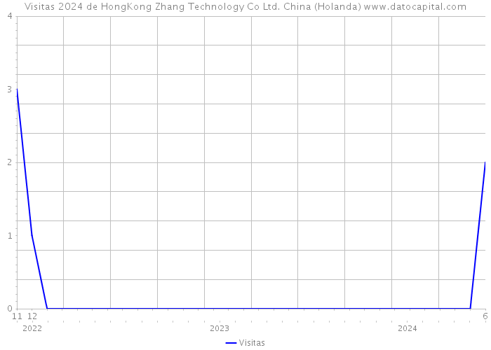 Visitas 2024 de HongKong Zhang Technology Co Ltd. China (Holanda) 