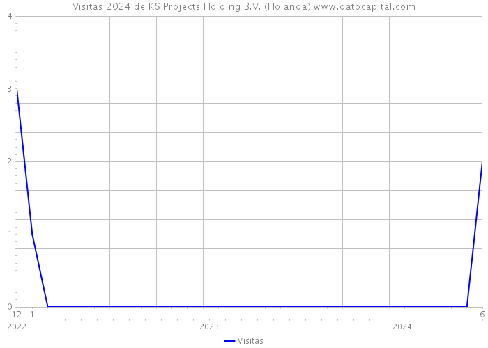 Visitas 2024 de KS Projects Holding B.V. (Holanda) 