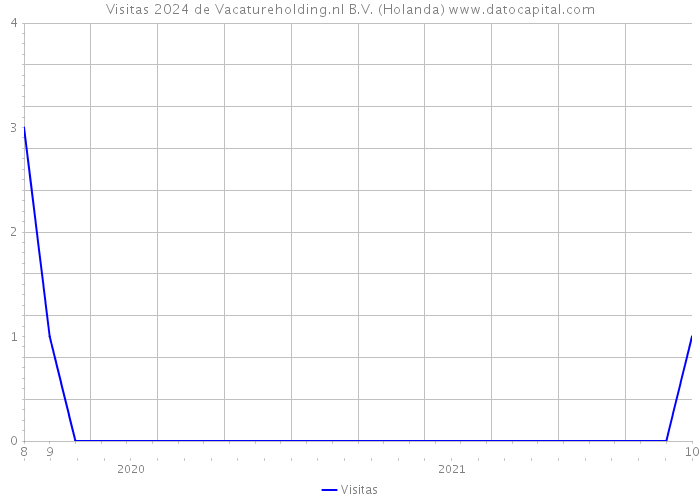 Visitas 2024 de Vacatureholding.nl B.V. (Holanda) 