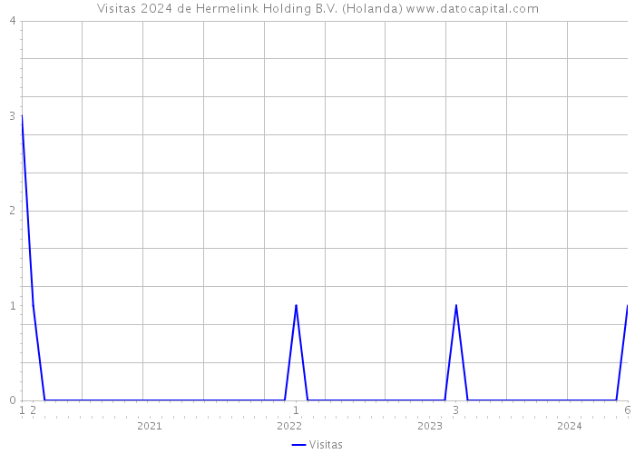 Visitas 2024 de Hermelink Holding B.V. (Holanda) 