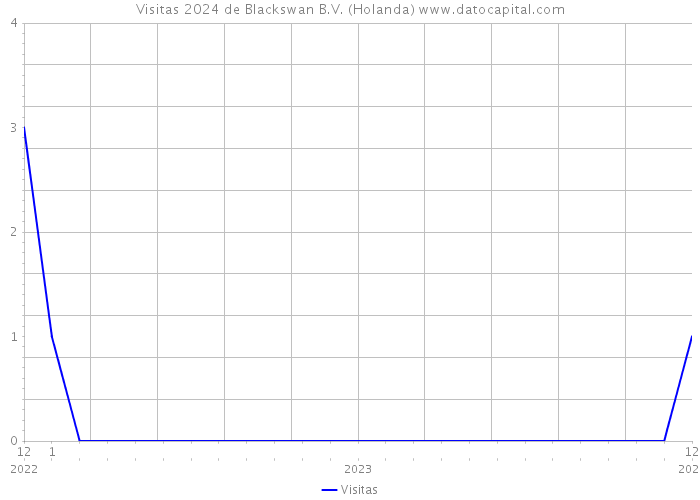 Visitas 2024 de Blackswan B.V. (Holanda) 