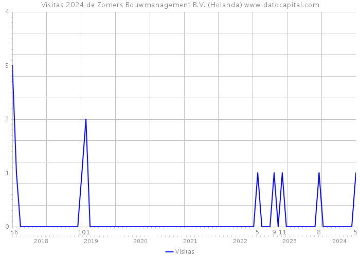 Visitas 2024 de Zomers Bouwmanagement B.V. (Holanda) 