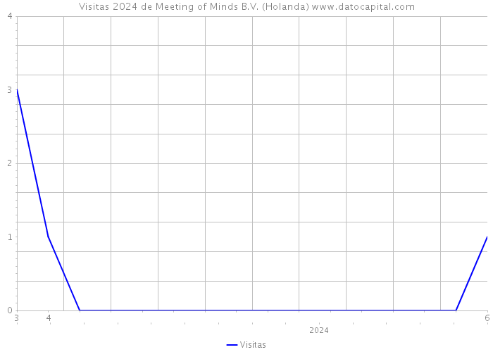 Visitas 2024 de Meeting of Minds B.V. (Holanda) 