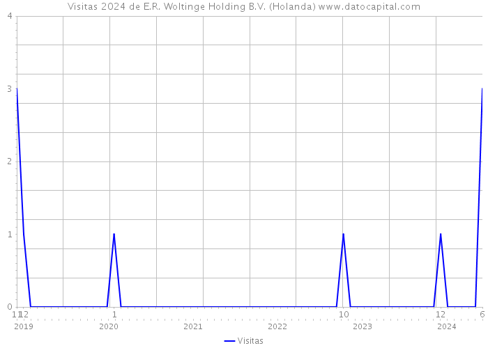 Visitas 2024 de E.R. Woltinge Holding B.V. (Holanda) 