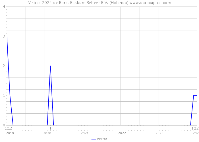 Visitas 2024 de Borst Bakkum Beheer B.V. (Holanda) 