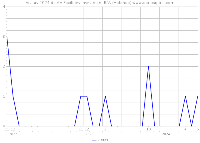 Visitas 2024 de AV Facilities Investment B.V. (Holanda) 