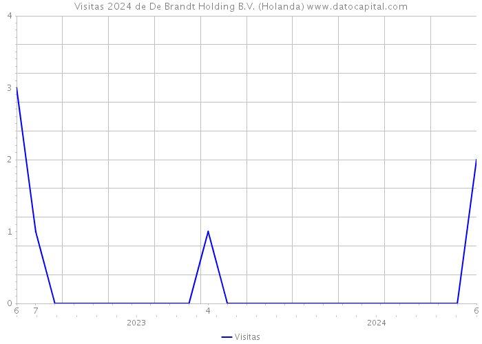 Visitas 2024 de De Brandt Holding B.V. (Holanda) 