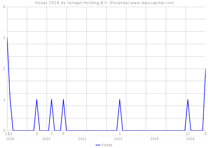 Visitas 2024 de Verlaan Holding B.V. (Holanda) 