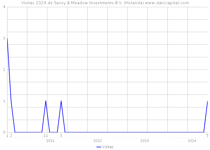 Visitas 2024 de Savoy & Meadow Investments B.V. (Holanda) 