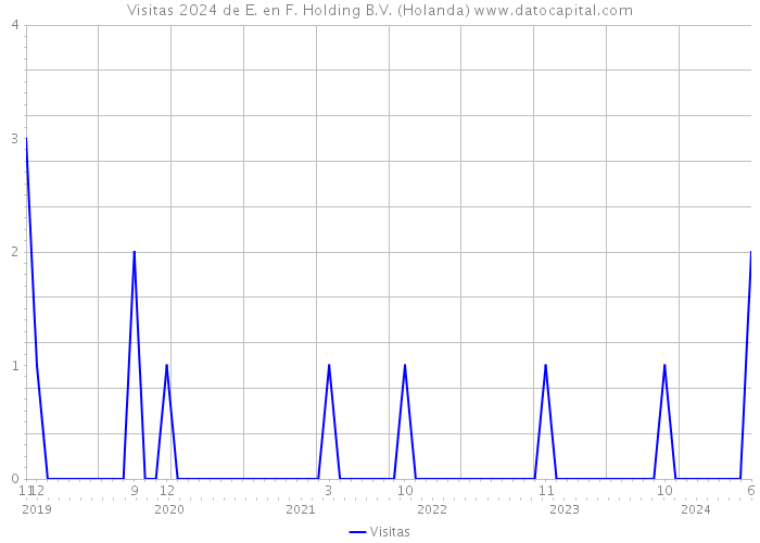 Visitas 2024 de E. en F. Holding B.V. (Holanda) 