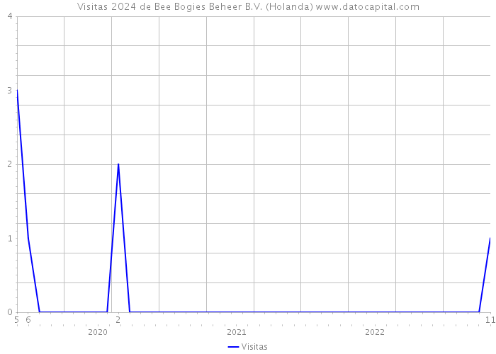 Visitas 2024 de Bee Bogies Beheer B.V. (Holanda) 